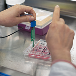 Haal benauwde dieren uit longonderzoek