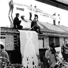 Actie-tegen-dierproeven-voor-onderzoek-naar-een-virus-bij-bloembollen Actie tegen dierproeven