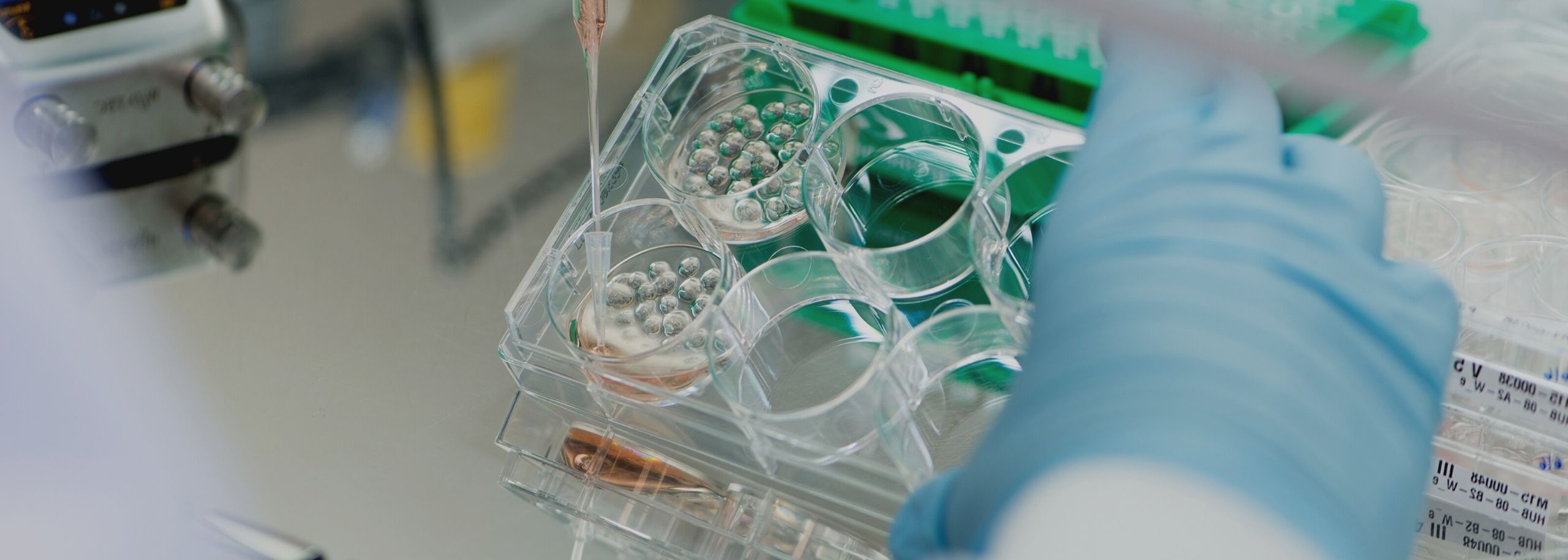 Inschrijven Willy van Heumenprijs wetenschap prijs onderzoek