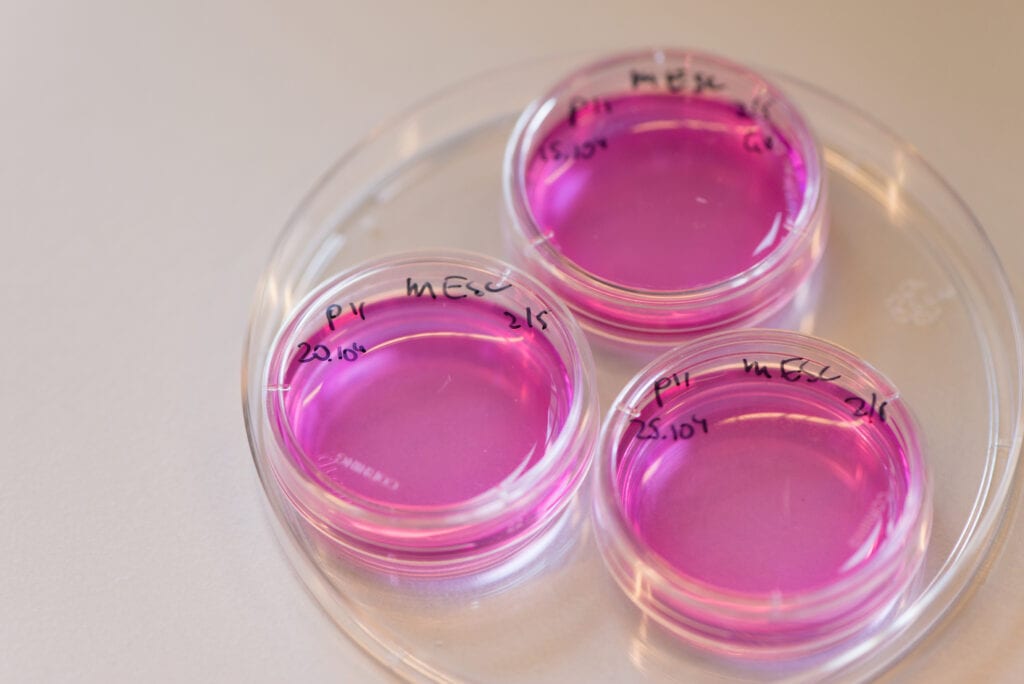 petrischaaltje proefdiervrij