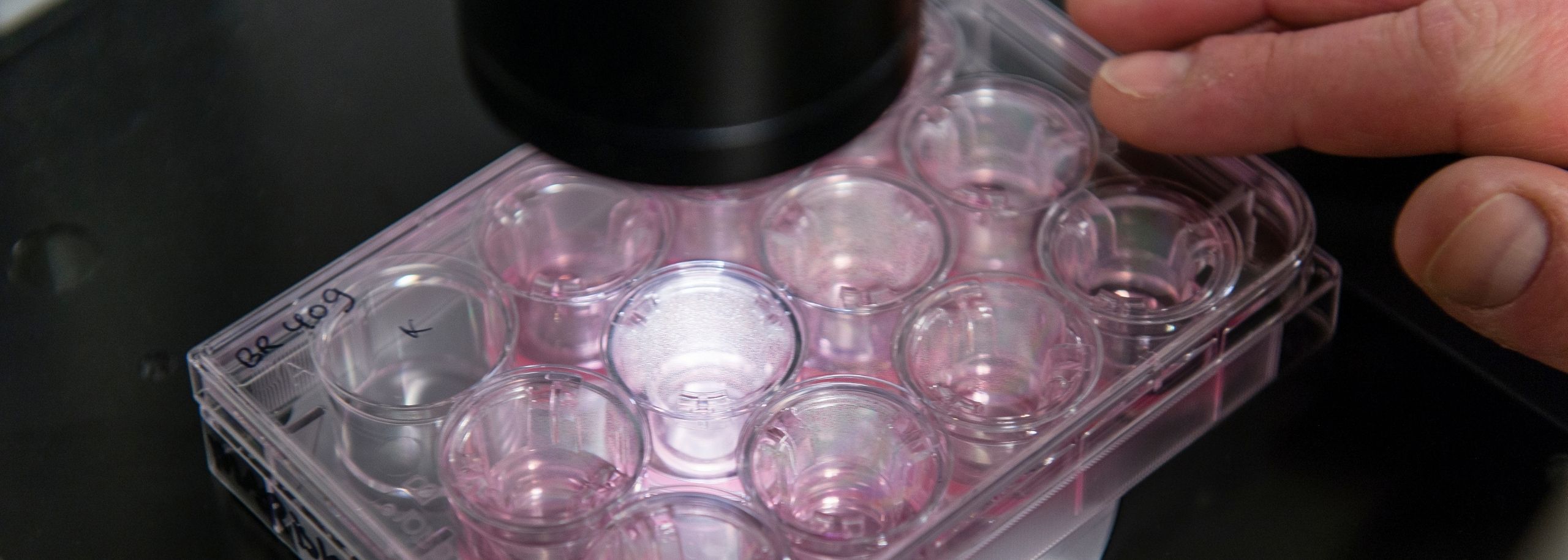 Venture Challenge Proefdiervrij inschrijving open