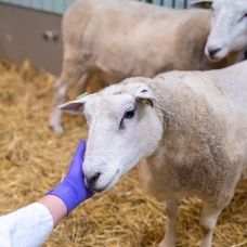 Wat gebeurt er met je euro?