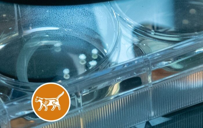 Venture Challenge met iconen