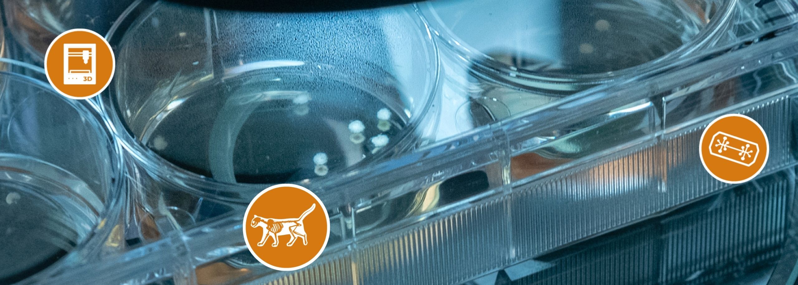 Venture Challenge met iconen