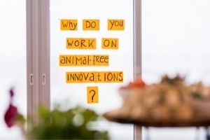 Ways to collaborate with us