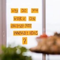 Why do you work on Animal Free Innovations