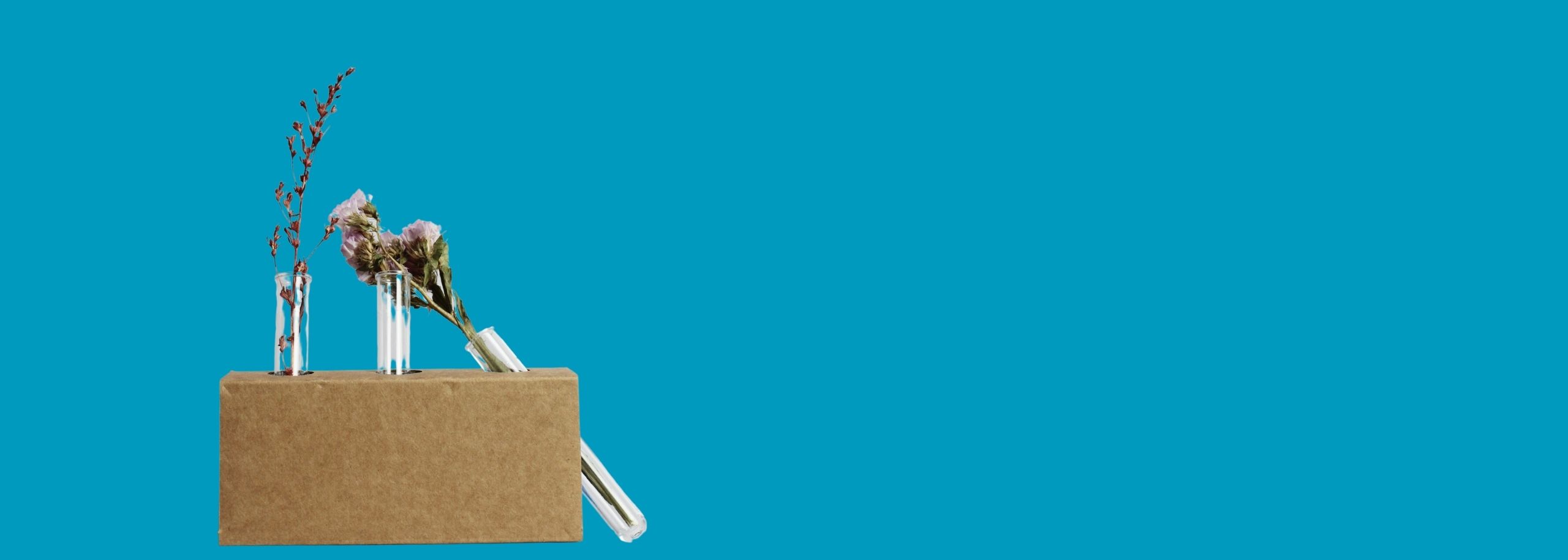 Naik Lonsain lab wetenschap bloemen