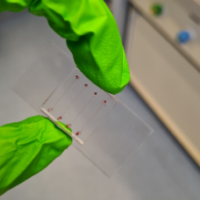 Linkafbeelding 228×228 organ on chip Organ on a chip