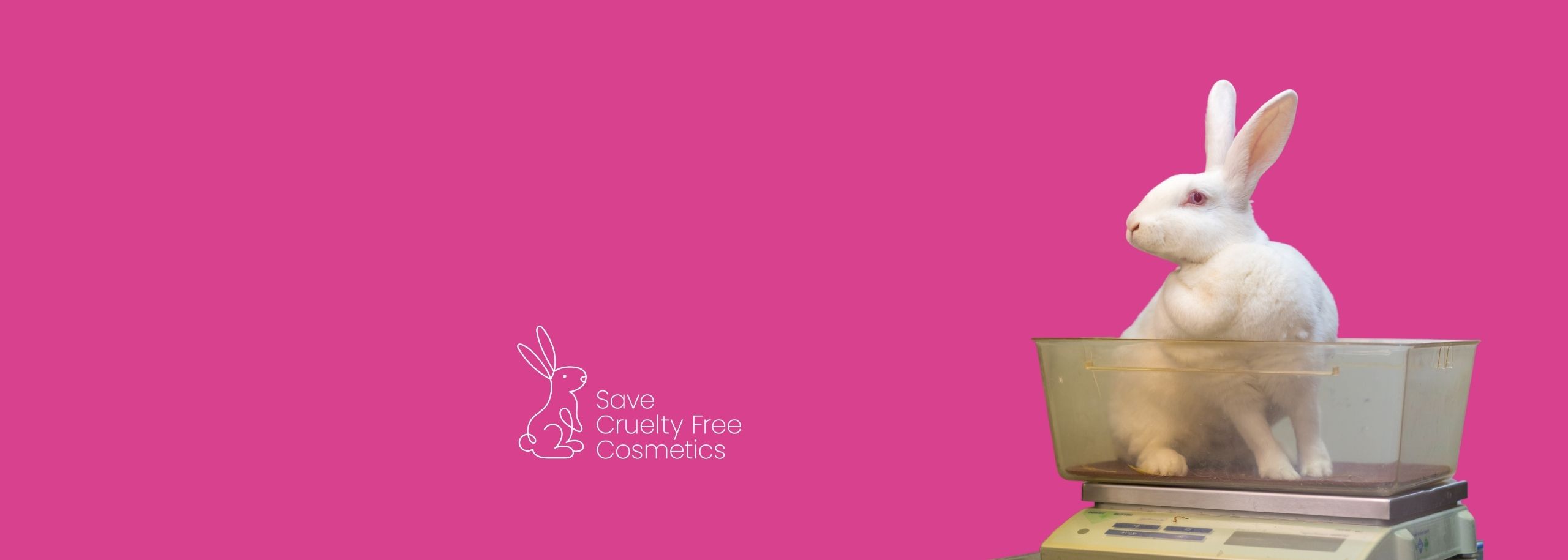 Konijn actiepagina cosmetica
