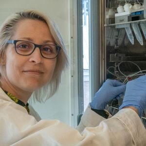 Onderzoeker Meike van der Zande Dr. Twan de Vries