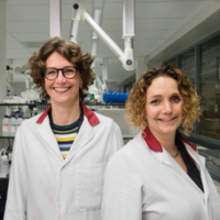 228 x 228 vital tissue