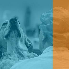 Winnaar Venture Challenge 2021