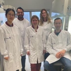 Rondje afbeelding website 288 x 288