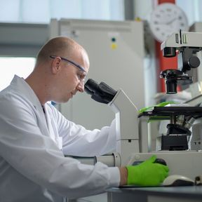 Andries van der Meer microscoop (288 x 288) Andries van der Meer microscoop