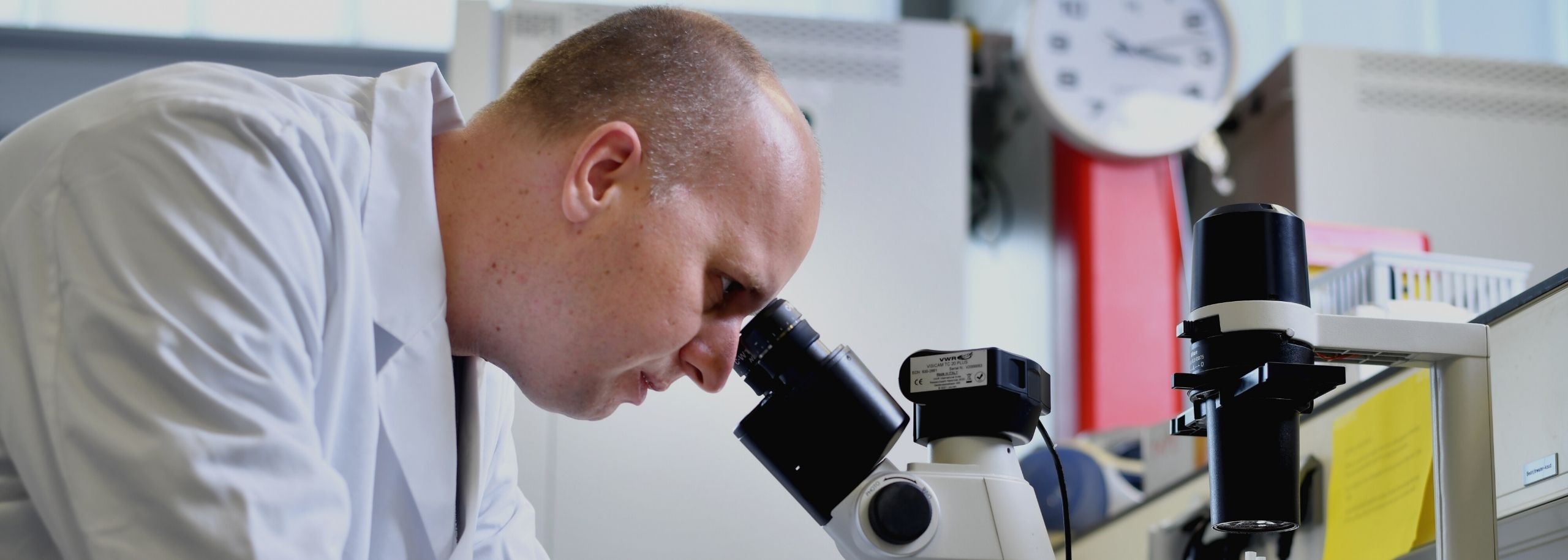 Andries van der Meer