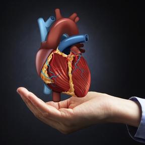 Kunsthart Serum well cells