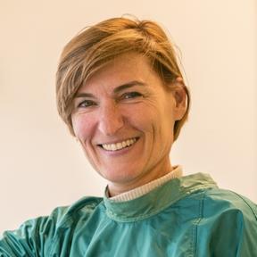 Dasja Pajkrt (288 x 288) Dasja Pajkrt