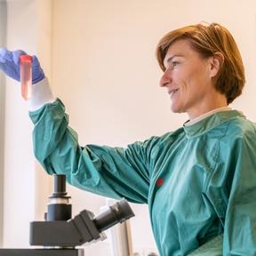 Dasja (afbeelding website 288 x 288) Dasja Pajkrt