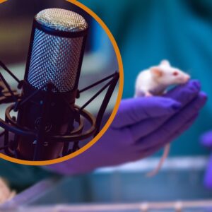 Gewricht-op-een-chip