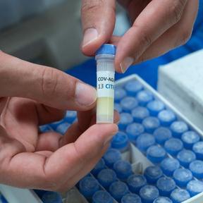 Corona Huub (288 x 288) Corona