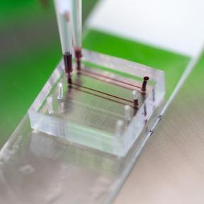 Corona-onderzoek (288 x 288) Corona-onderzoek