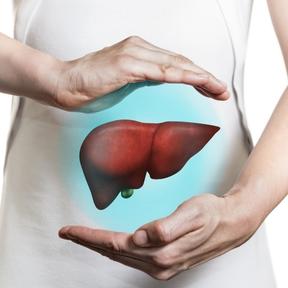 Rondje afbeelding website lever 288 x 288 Serum injectienaald