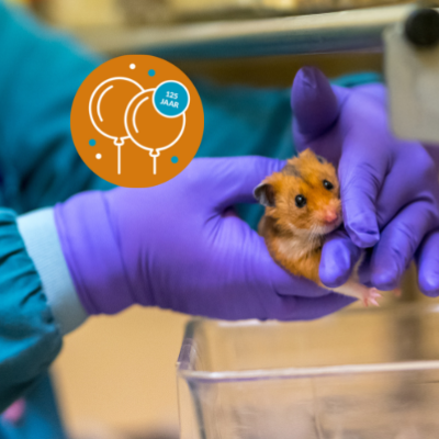 Multi organ on a chip