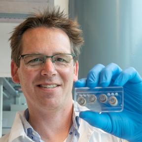 Bas van Balkom 288 x 288 Dr. Twan de Vries