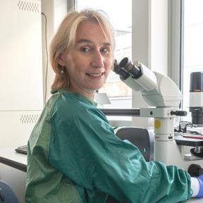 Katja Wolthers 288 x 288 Katja Wolthers