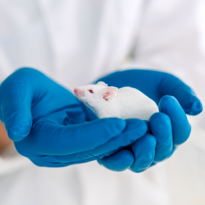 proefdiervrij hersenonderzoek