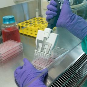 Lois Kistemaker onderzoek (Rondje afbeelding website 288 x 288) Lois Kistemaker onderzoek