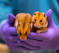 Proefdiervrij_IrisSijbomPhotography2019-07405s2