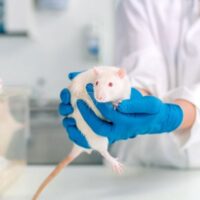 header faq 400 400 Laika ruimteproefdier