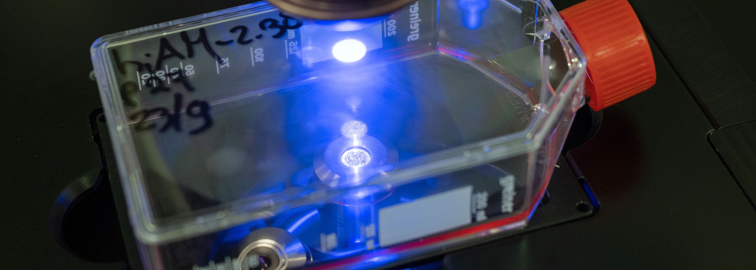 Niels Harlaar proefdiervrij hartonderzoek