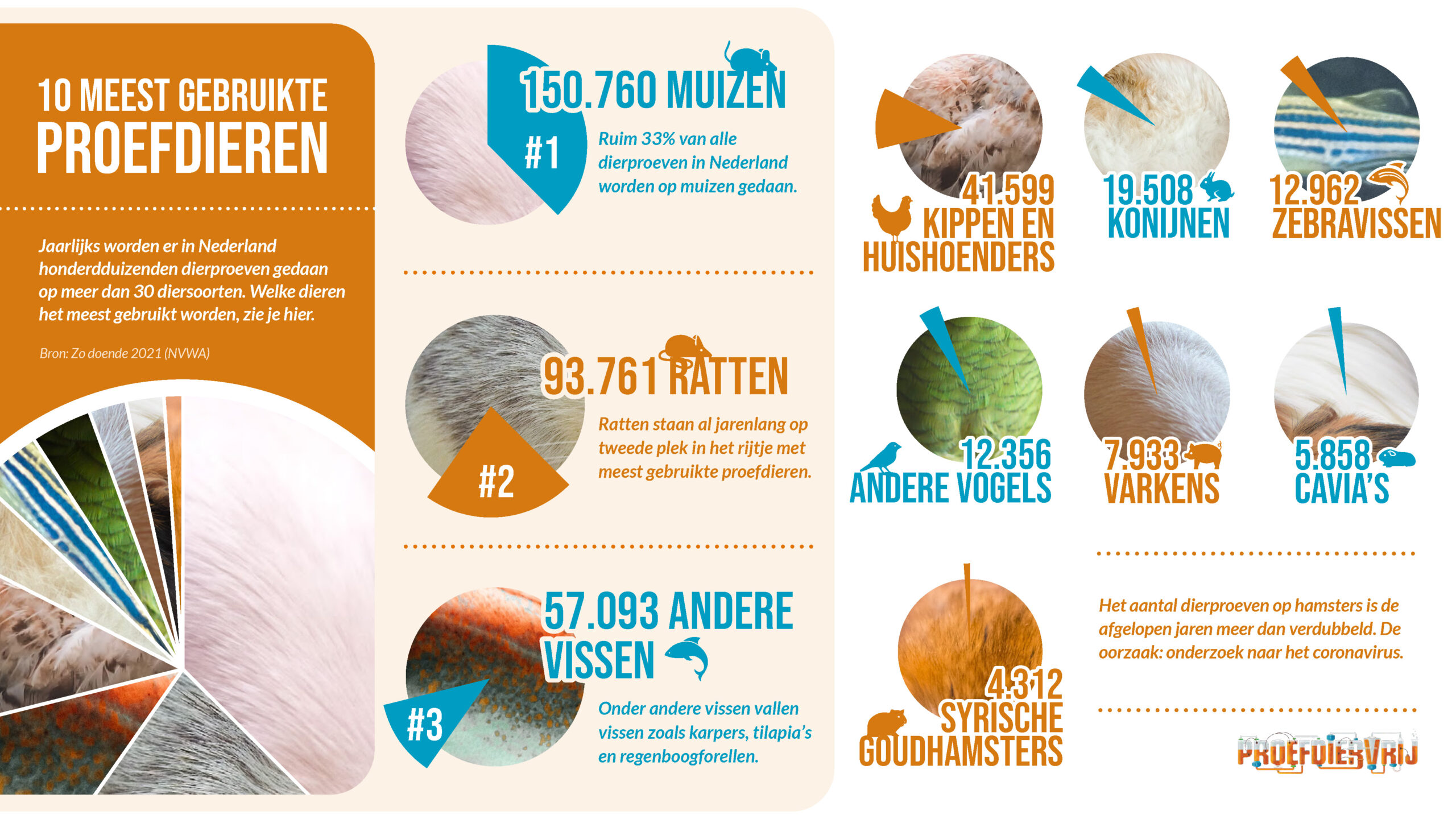 0223_PDV_infographic_top10_DEF