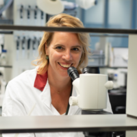 virtual human platform